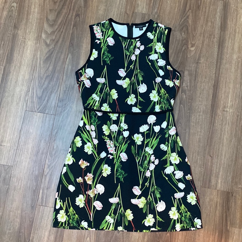 Like New, Victoria Beckham for Target Floral Dress